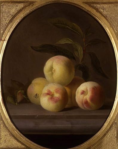 Cuadro bodegón de frutas con mosca de Jakob Bogdani para decoración de salón en lienzo 60x90cm