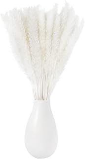 Vockvic Herbe de Pampa Naturelle Séchée, 15 Pièces Phragmites Communis Décoration Artificielle Bouquet de Fleurs, Blanches Fleur de Pampa 43cm pour Vases Mariage Chambre Maison Salon Décoration