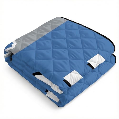 Image of Northwest NFL Taffeta Outdoor Blanket, Foldable Camping, Picnic Ground Mat, 60 x 70 Inches