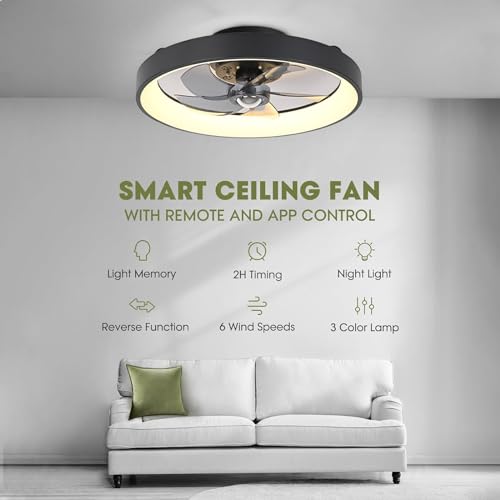 Ventilateur de plafond LED silencieux a intensite variable LANMOU