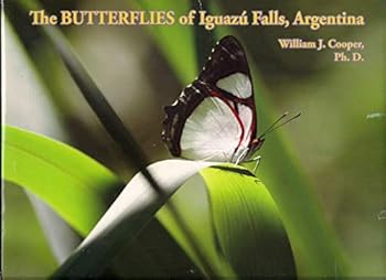 The Butterflies of Iguazu Falls, Argentina