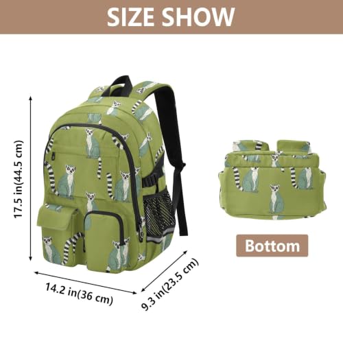 Mochila para la universidad cómoda que alivia la carga de libros 3
