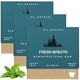 Goma remineralizante, masilla orgánica, menta, chicle sin azúcar para mantener la boca fresca, para la salud de los dientes y las encías, goma remineralizante de menta orgánica totalmente natural, gom