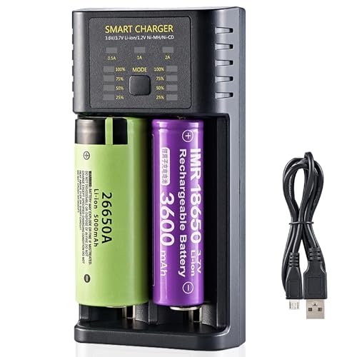 amazon.sa Best Sellers The best items in Household Battery Chargers