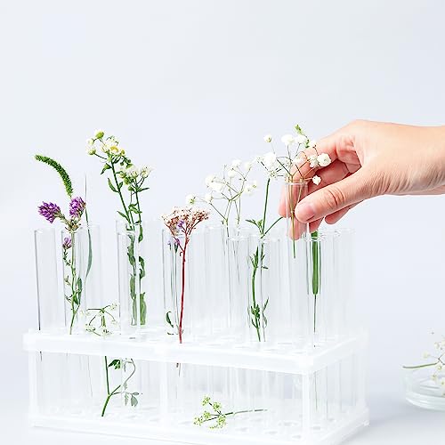 Xuhal 200 Pack Plastic Test Tubes 12 x 100mm 12 ml Lab Tubes Test for Scientific Themed Birthday Party Supplies (White Color)