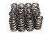Competition Cams 26915-16 Beehive Valve Spring