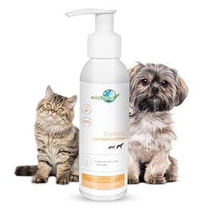 Aldivet Champú ClorHexidina Perros y Gatos – Pieles Sensibles – Regeneración y Cuidado de la Piel – Fortalece y Acondiciona el Pelaje – pH Equilibrado – Protección Piel – Antimicrobiano 250ML
