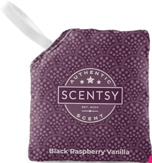Scent Pak - Black Raspberry Vanilla 1 Perfumed Sachet - Sweet Berry & Creamy Vanilla Aroma Bag