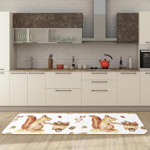 Alfombrillas de cocina antideslizantes VAPOKF lavables y absorbentes con diseño de ardillas 3