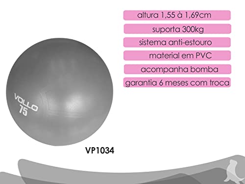 Bola de PIlates e Fisioterapia Pélvica Vollo VP1034 55cm Com Bomba