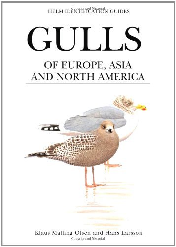 By Klaus Malling Olsen - Gulls of Europe, Asia and North America (Helm Identification Guides)