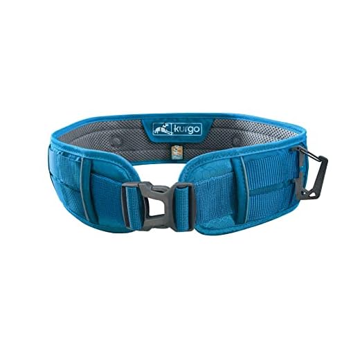 Cinturón Multiusos RSG de Kurgo, Producto Ajustable a la Cintura para Correr con Perros, cinturón Manos Libres para Correr, pasear, Senderismo