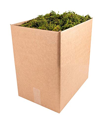 Image of SuperMoss (21705 Forest Moss Dried, Natural, 5lbs