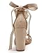 Huiyuzhi Womens Strappy Heels Lace up High Heeled Sandals Chunky Block Ankle Tie Pumps Dress Party Shoes