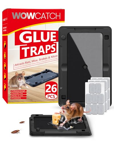 Wowcatch Sticky Mouse Traps Indoor for Home -26 Pk Bulk