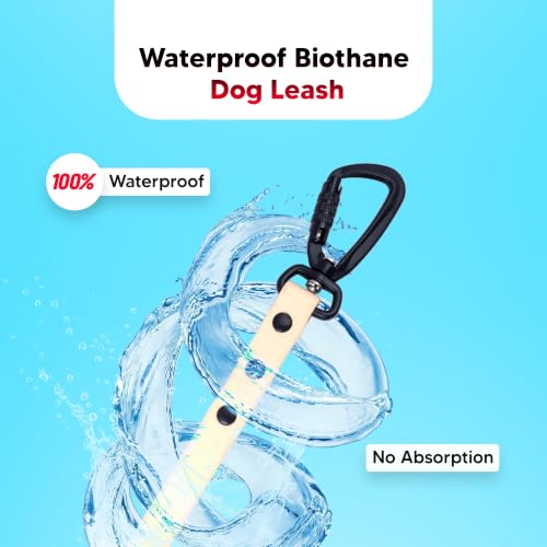 Image of Adil's Biothane Waterproof Dog Collar, Dog Leash & Collar Leash Combo | Heavy Duty TPU Coated Webbing | Adjustable Quick Release Buckle | Odour Resistant (Lemon White, M-18, Leash Only)