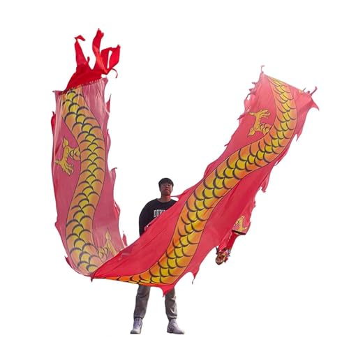 Dragón de Baile para Ejercicios al Aire Libre, Cinta de Seda Tela Danza del dragón con Cabeza , 6 10 m, Multicolor(A,8m/26ft)