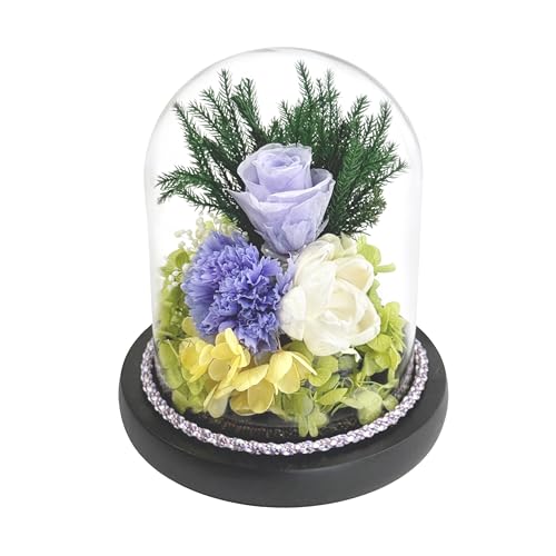 �X�[�v(soup) �K���X�h�[���A�����W�����g ��(�Ȃ�) �p�[�v�� ��11.5×11.5×14cm C41060 �h�[���̃K���X�Ɩؐ����