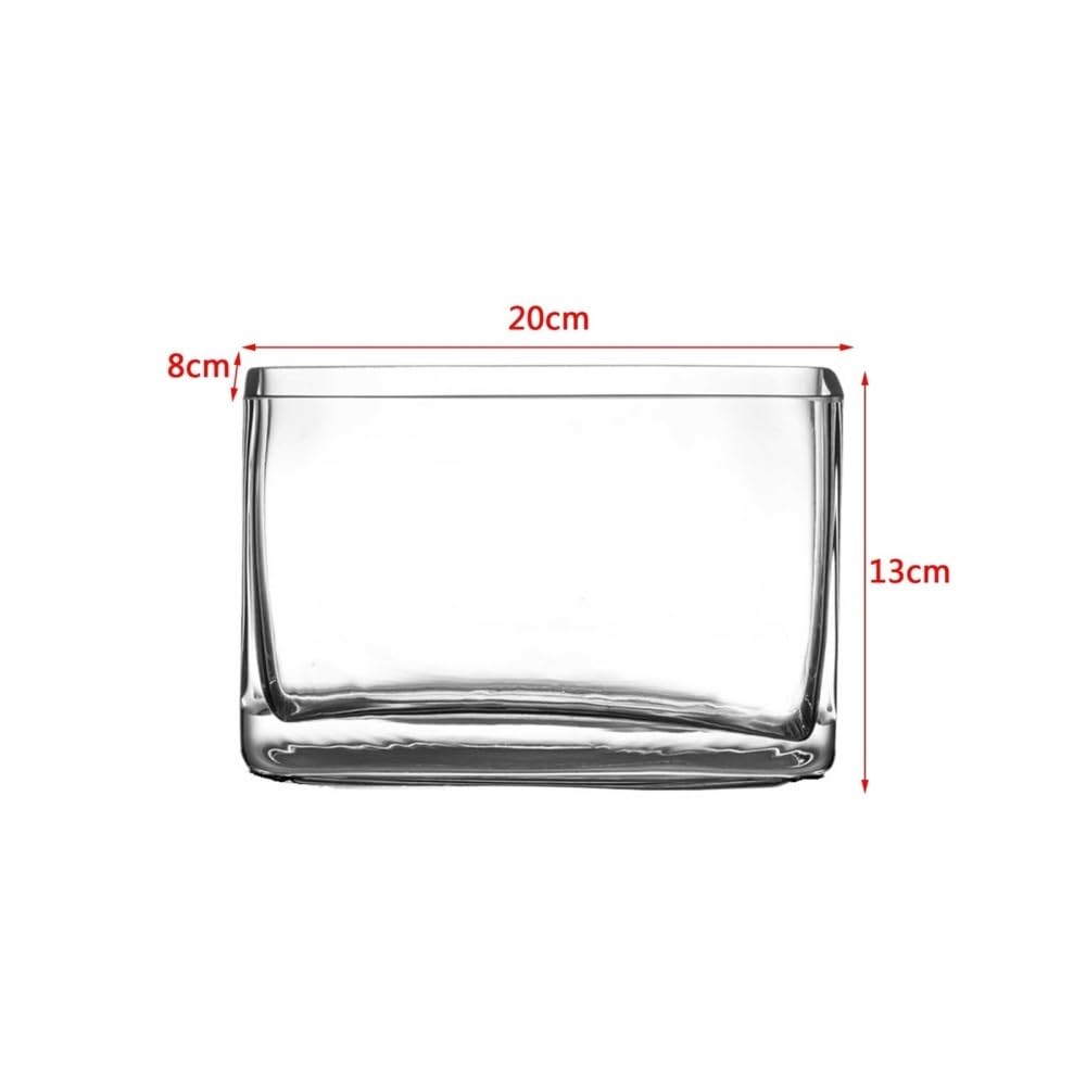 Aquarium Kleines rechteckiges Mini-Aquarium aus Glas for Wohnzimmer, Schreibtisch, kreativer Kampffisch
