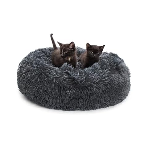 Jackson Galaxy Donut Disturb Cat Bed (Charcoal) Cover