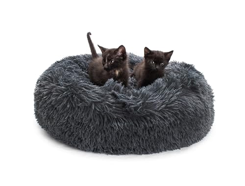 Jackson Galaxy Donut Disturb Cat Bed (Charcoal)