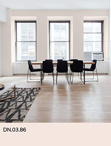 Pintura, pintura pared, pintura pared interior, pintura colores, pintura PETALO, pintura exterior, pintura ECOLOGICA, SIDERAL MATE COLOR 2020 (Pétalo)