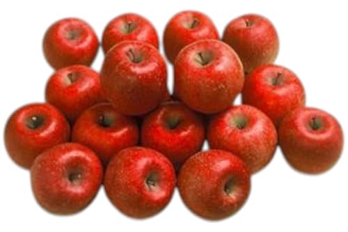 ご家庭用サンふじ 約5kg(13〜20玉)2024年11月下旬より発送※オンライン決済限定 果物 フルーツ