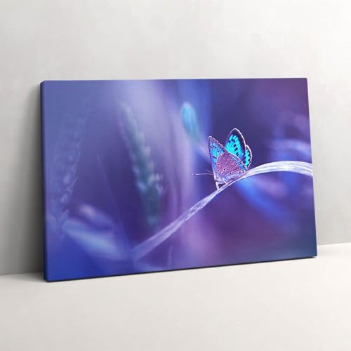 Tableau photo sur toile papillon decoration murale haute definition