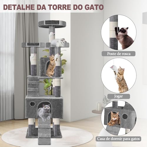Casa de Gato, Torre Gato, Arvore de Gato, Casa para Gatos, Casa Gato, Casinha para Gatos