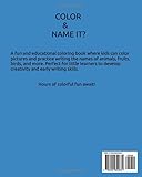 Zoom IMG-1 colour name it fun learning