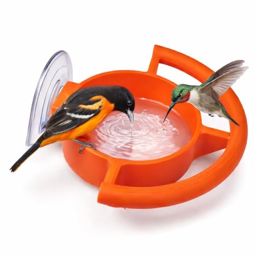Bird Feeder Window Suction Cup Holder,Suction Cup Bird Feeder Holder