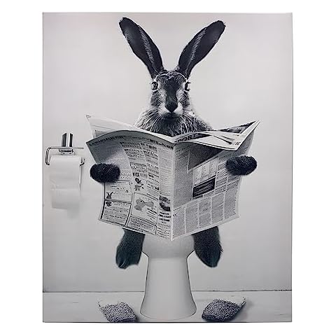 Affiche humoristique Zzcy Lapin Cover