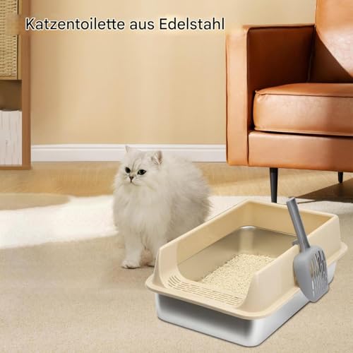 Katzenstreubox-Graues PP & Edelstahl Hochseitiger Tablett 15.75x11.81x7.48in, Schaufel Für Die Einfache Reinigung, Innengeruchskontrolle | Kätzchen Toilette Wohnzimmer Wohnung Balkon Bauernhaus
