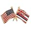 Hawaii and USA Gold-Colored Plated