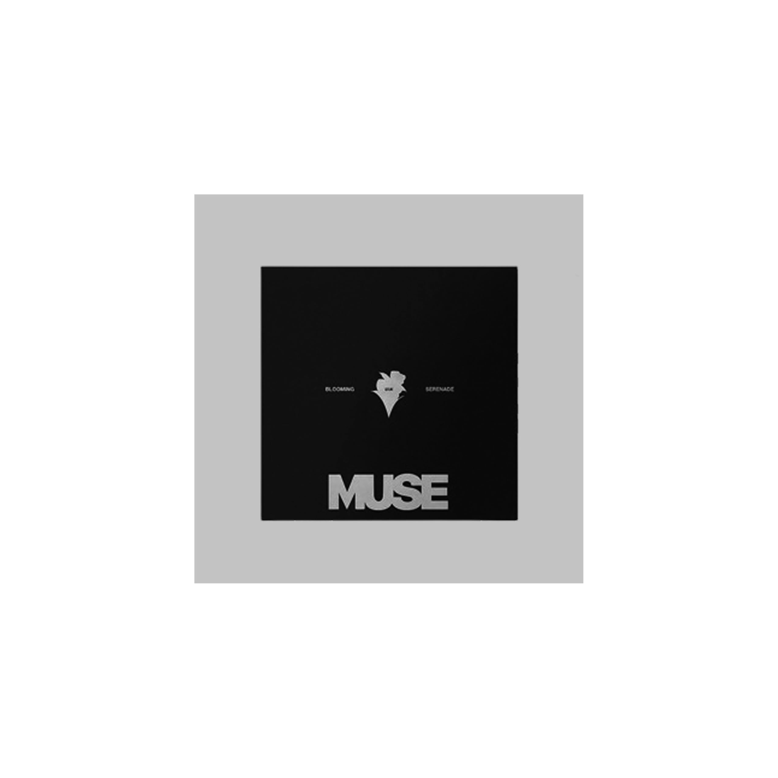 Amazon.com: B'TS JIMIN MUSE LP Vinyl Version with Tracking Sealed