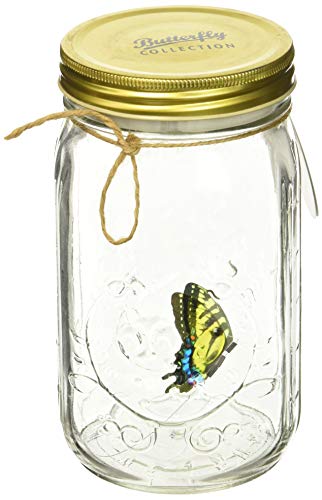 Science Purchase Animated Butterfly in a Jar Yellow Swallowtail Figurine