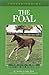 Understanding the Foal (The Horse Health Care Library Series)