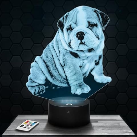 Lampe de chevet Chien Bulldog - Lampephoto.fr Cover