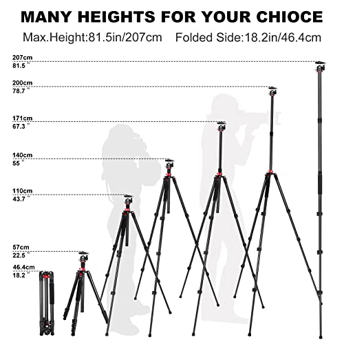 78.7" Camera Tripod, Camerig Tripod For Camera, Aluminum Professional Camera Tripods & Monopods Load Up To 17.6 Lbs #TOP4