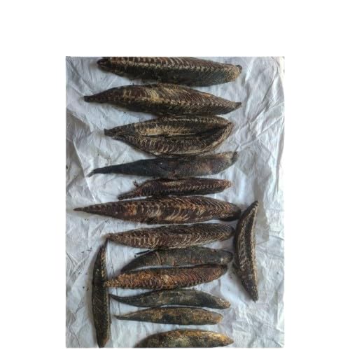 KALP SEA Food Dried Tuna Fish Fillet's 200 Grams