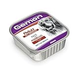 Generico