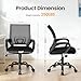 OLIXIS Office Desk Chair - Ergonomic Mid Back with Lumbar Support & Rocking Mode, Height Adjustable with Fixed Armrest, Storage Back for Computer, Gaming, Conference, Meeting, 360° Swivel, Black