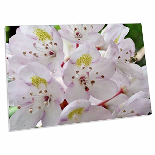 3dRose Desk Pad Macros Rhododendron 58x40 cm