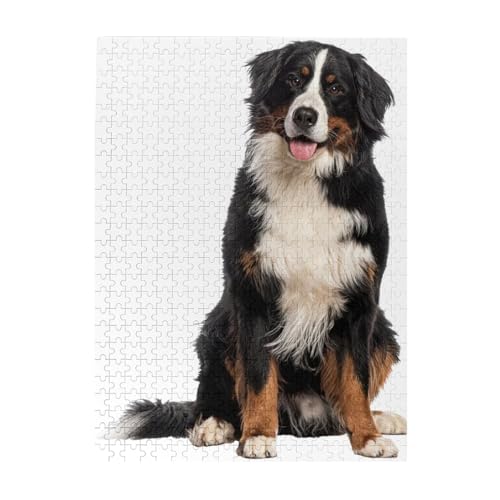 o[j[Y}EehbO  ؐWO\[pY 52cm×38cm m]`W lq yQ[ Ǌ|  aMtg 500 s[X