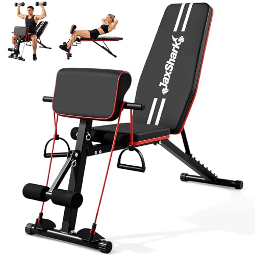JaxShark Adjustable Weight Bench Foldable Workout Bench Press