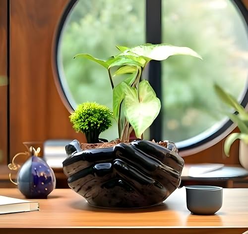 Image of Lasaki Hand Ceramic Pots for Indoor Plants, Planters, Flower Pot Living Room Home Decor Office Tabletop Desk Garden (Color: Black)(Plants not Included)