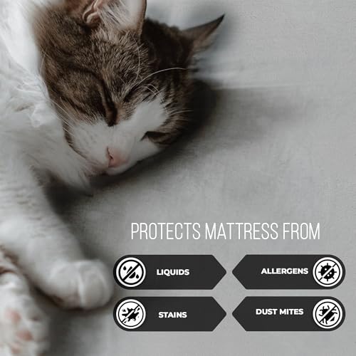 Image of Waterproof Mattress Protector Double Bed - Queen 78 inch X 60 inch|Dustproof, Soft Terry Cotton, Hypoallergenic & Breathable Fitted Elastic Mattress Cover (Grey, Queen (78 inch X 60 inch))