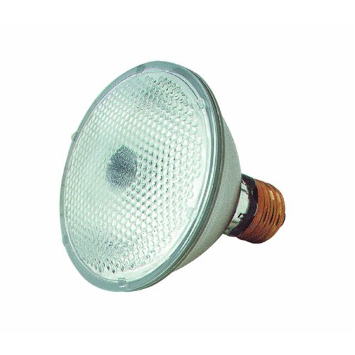 GE 14779 75-Watt PAR30 Edison Halogen Floodlight