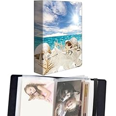 Beach Conch Starfish