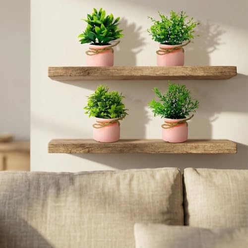 Image of Dekorly Plastic 4pcs Artificial Pot Flowers Small Fake Plants with Pot Mini Potted Plants for House Office Tabletop Decoration (Pink)